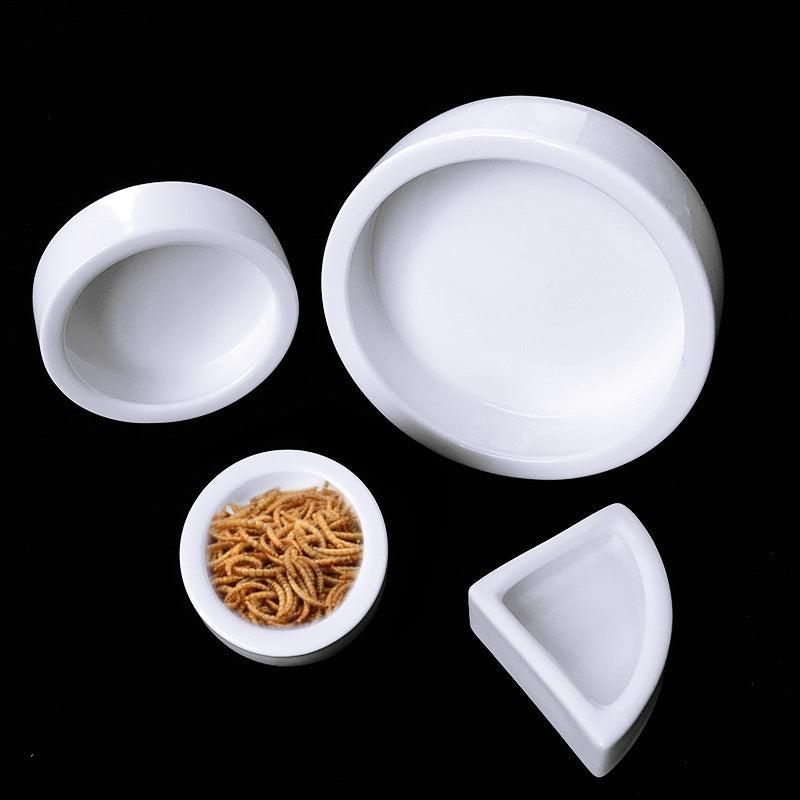 Durable Ceramic Reptile Food Bowl With Escape-Proof Design
