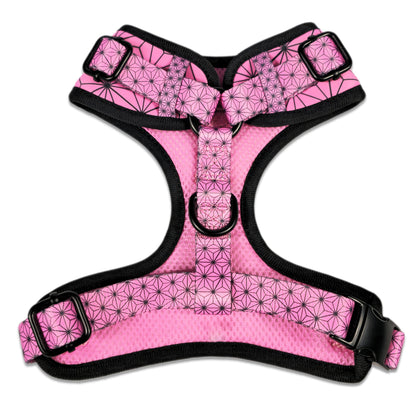 Asanoha Harness