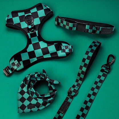 Ichimatsu Checker Harness